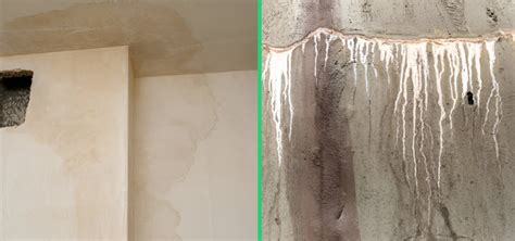 Understanding Slab Leaks: Causes, Detection, and Repair Solutions.